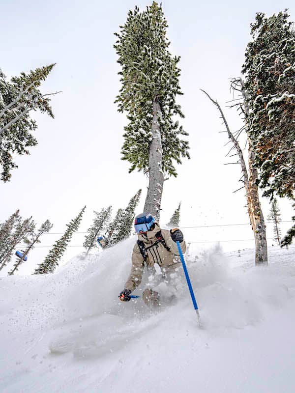 Skier in powder in the trees