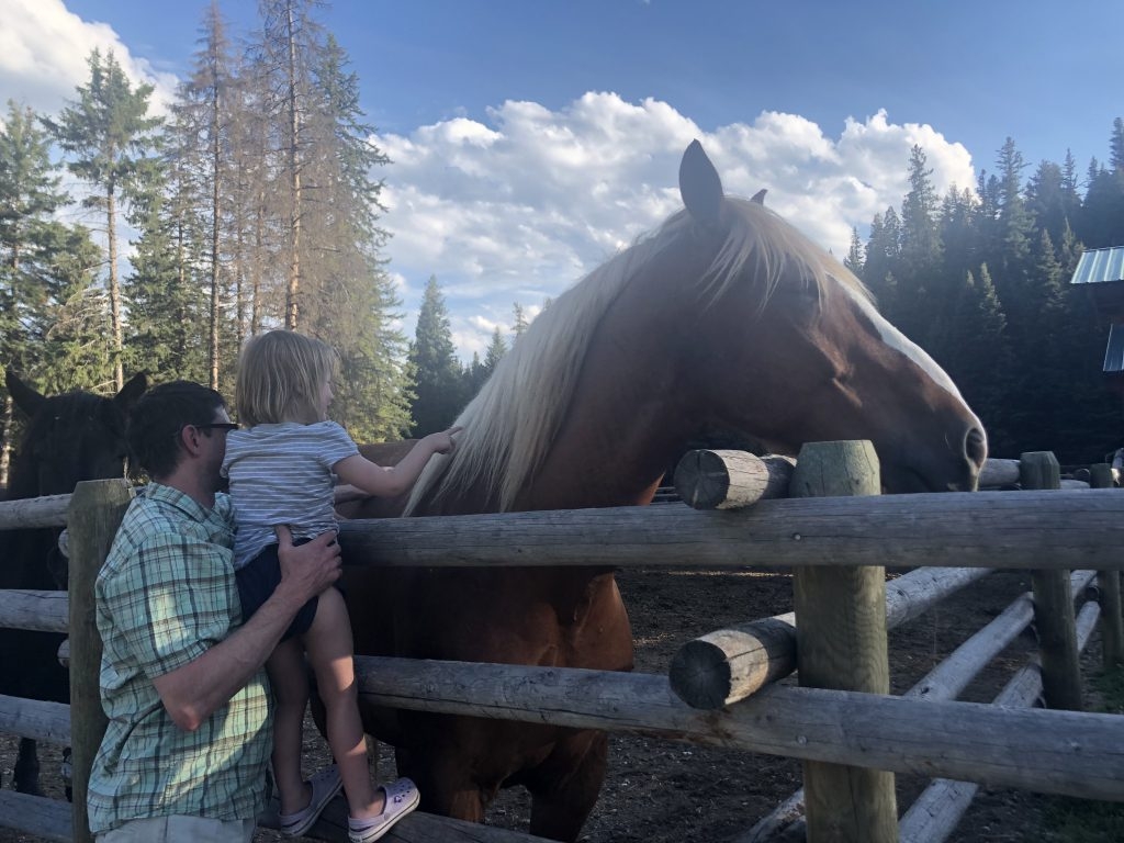 Girl petting horses